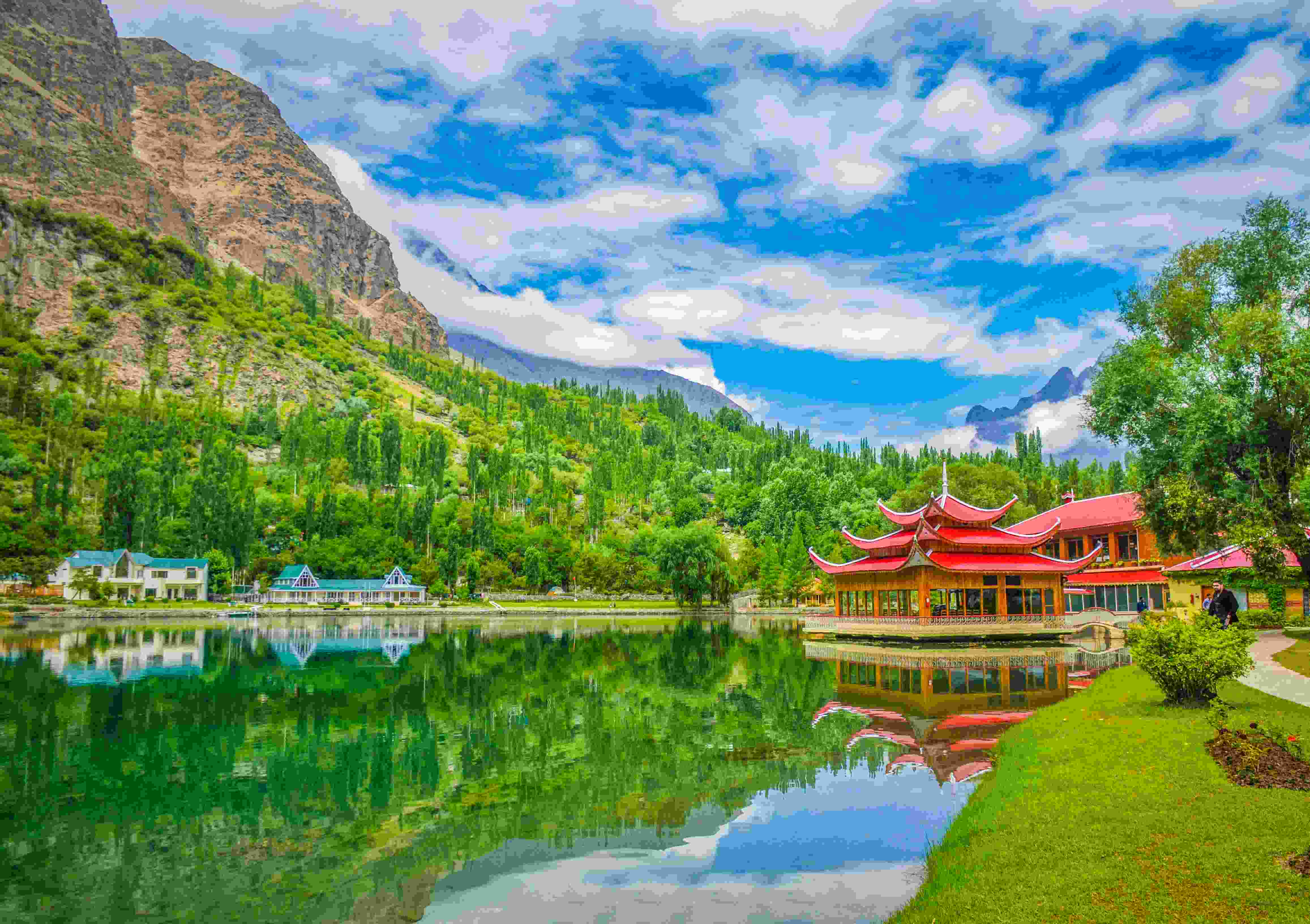 WordPress Development in Skardu